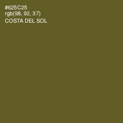 #625C25 - Costa Del Sol Color Image
